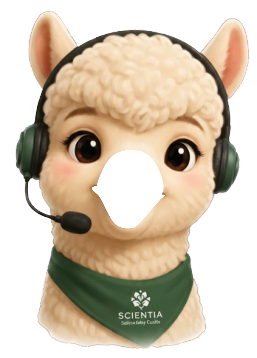 Customer service