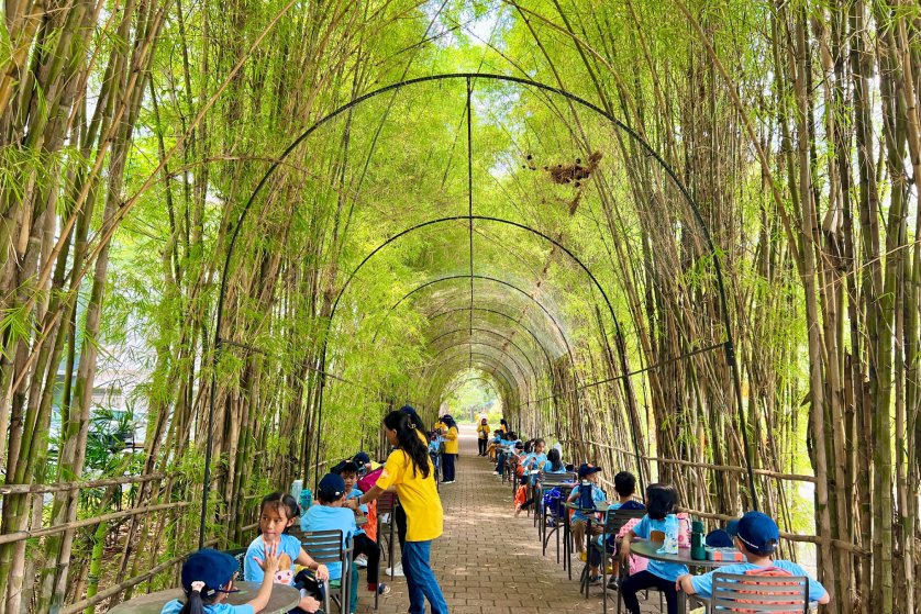 Bamboo Alley