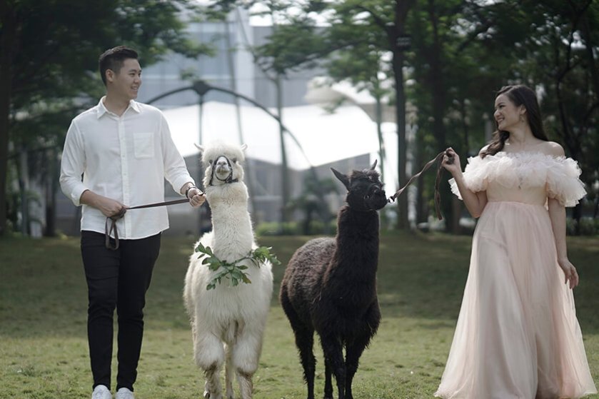 Prewedding Photoshoot