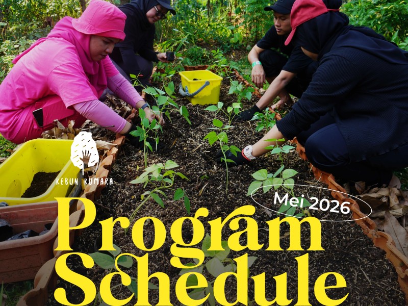 Gardening 101: Grow Your Own Food