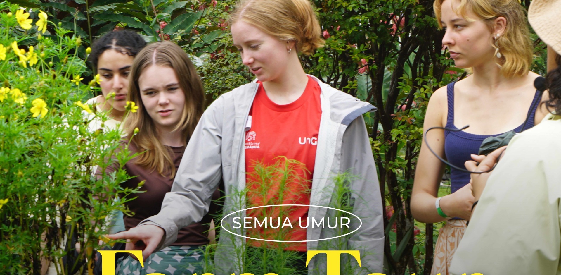 Kebun Kumara